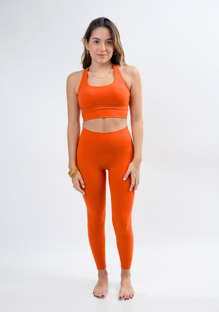 Collection of  in a gallery layout